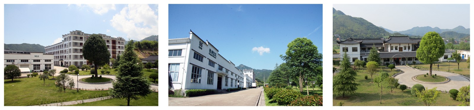 廠區(qū)圖3.jpg